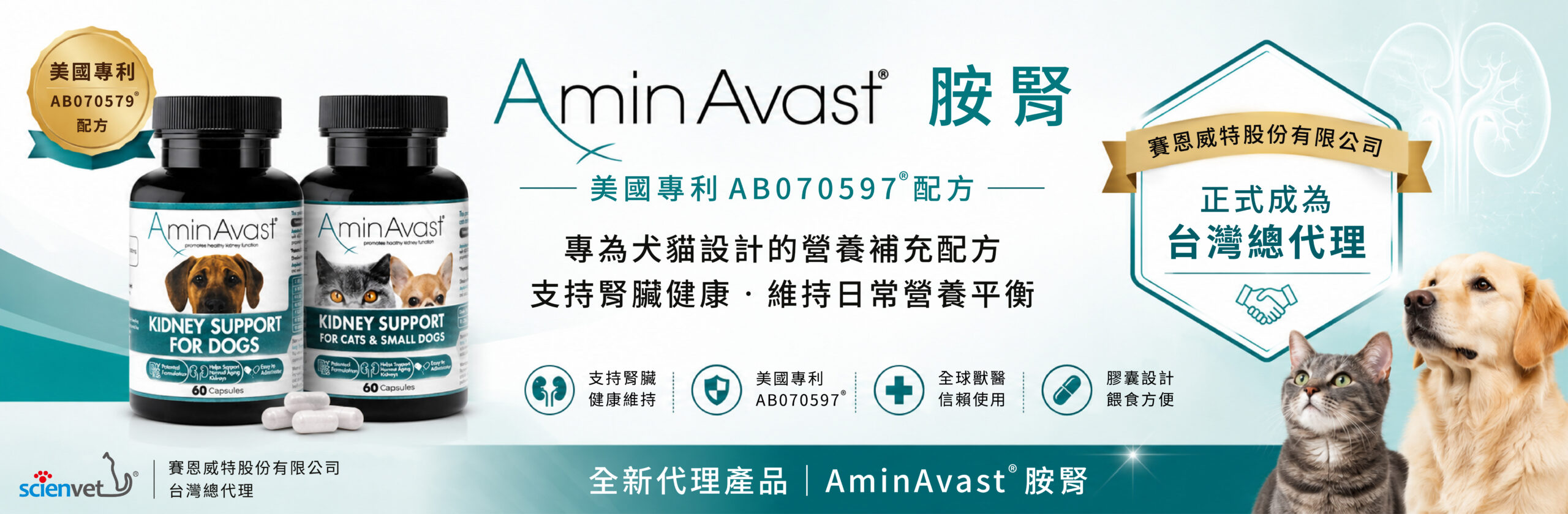 胺腎宣傳banner